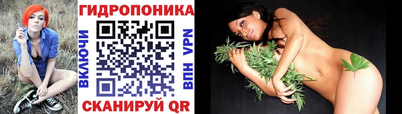 Галлюциногенные грибы Артём